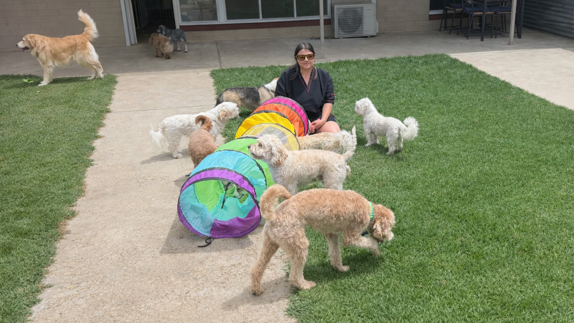 Dog Love Daycare outdoor backyard play garden