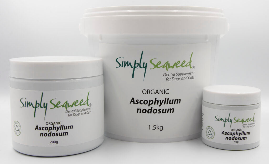 Simply Seaweed – Dental Supplement