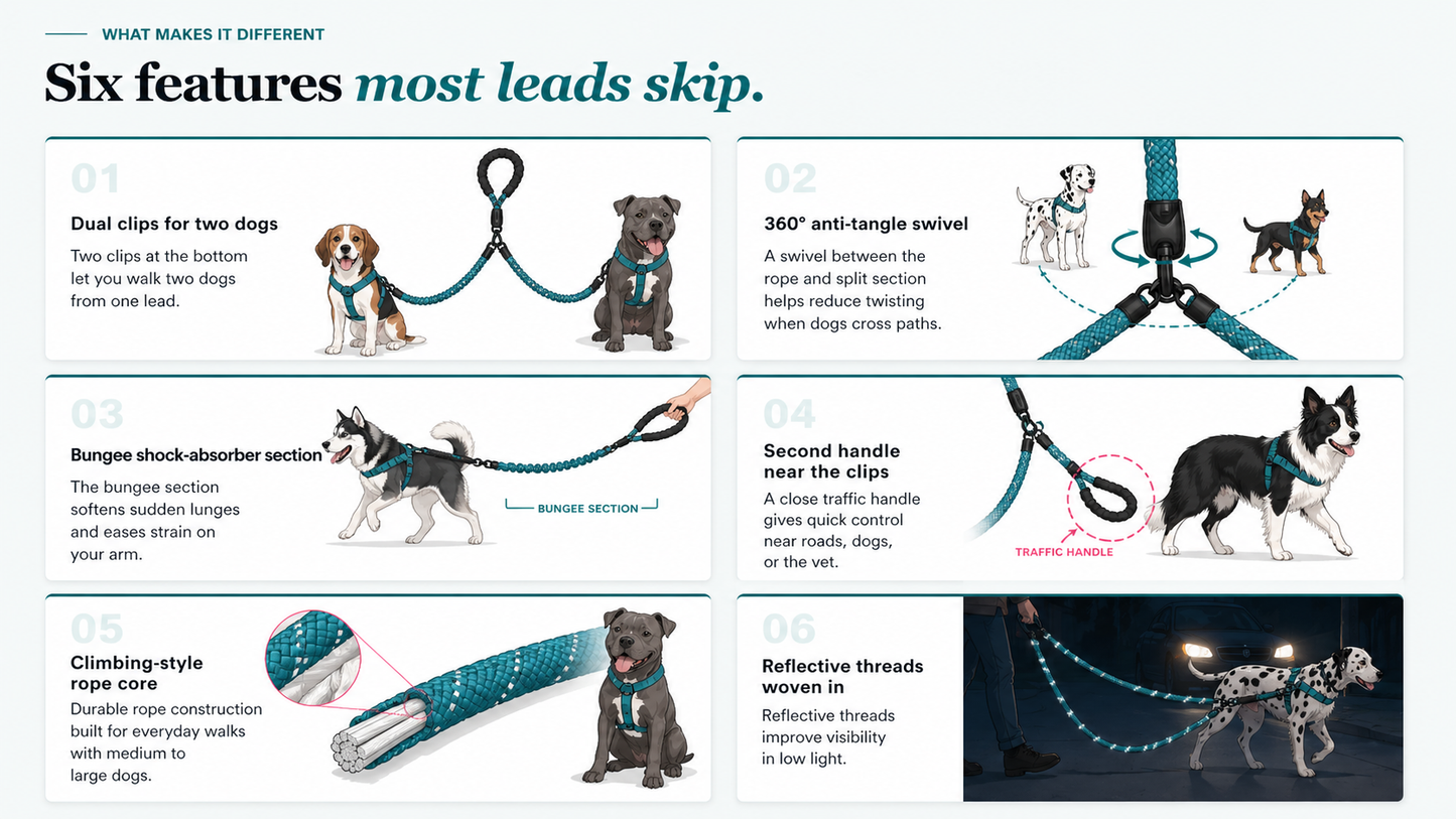 Dual-Handle Bungee Lead — One Lead for One Dog or Two