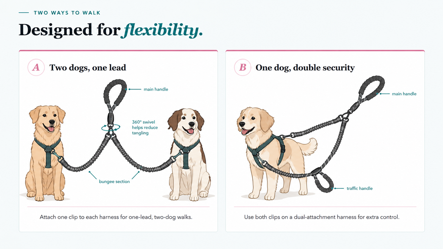 Dual-Handle Bungee Lead — One Lead for One Dog or Two