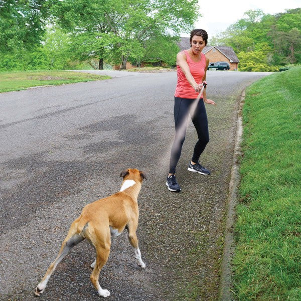 PetSafe – SprayShield – Animal Deterrent Spray