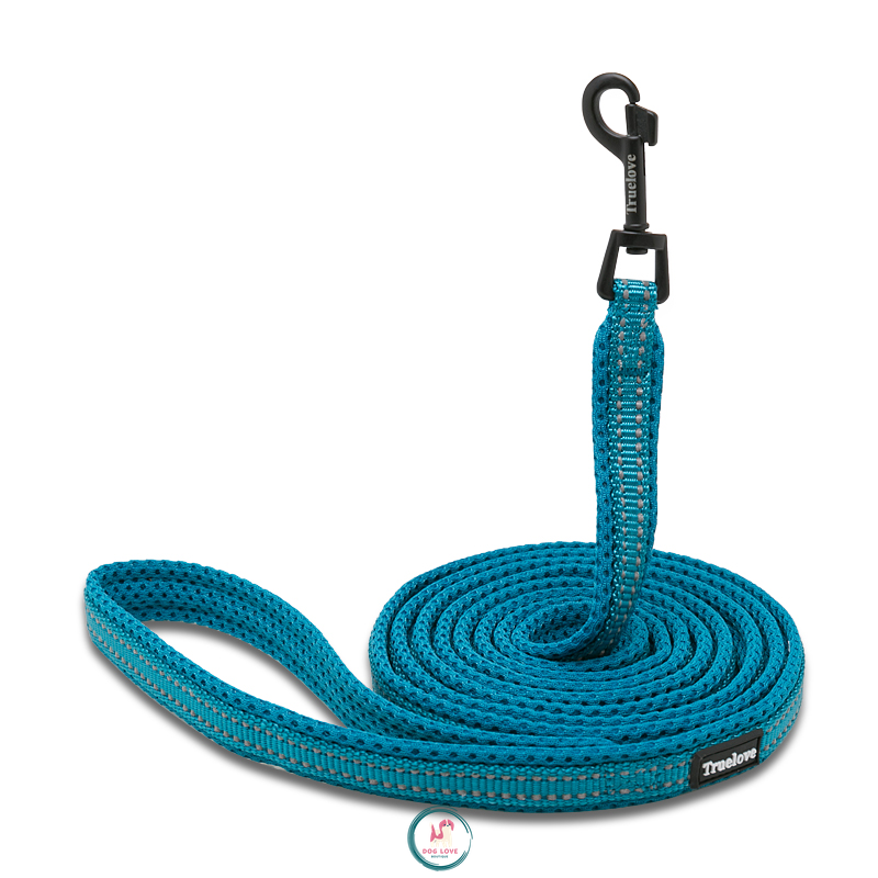 DogLove Pro Matching Lead in Teal