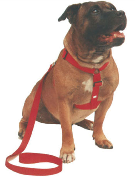 Beau Pets – Walking Harness – Red