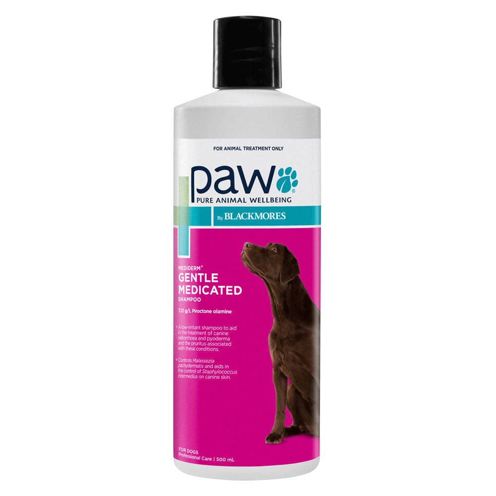 Blackmores: Paw – Mediderm – Gentle Medicated Shampoo
